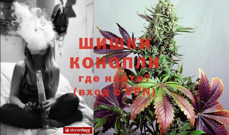 как найти закладки  Иннополис  нарко площадка состав  Канабис White Widow 